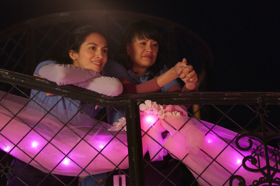 The Cleaning Lady Season 1 Episode 1