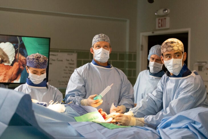 GREY'S ANATOMY