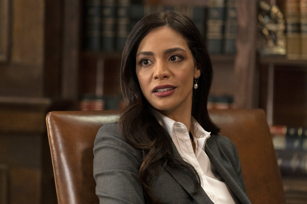 Law & Order - Season 21 Episode 7 - Legacy