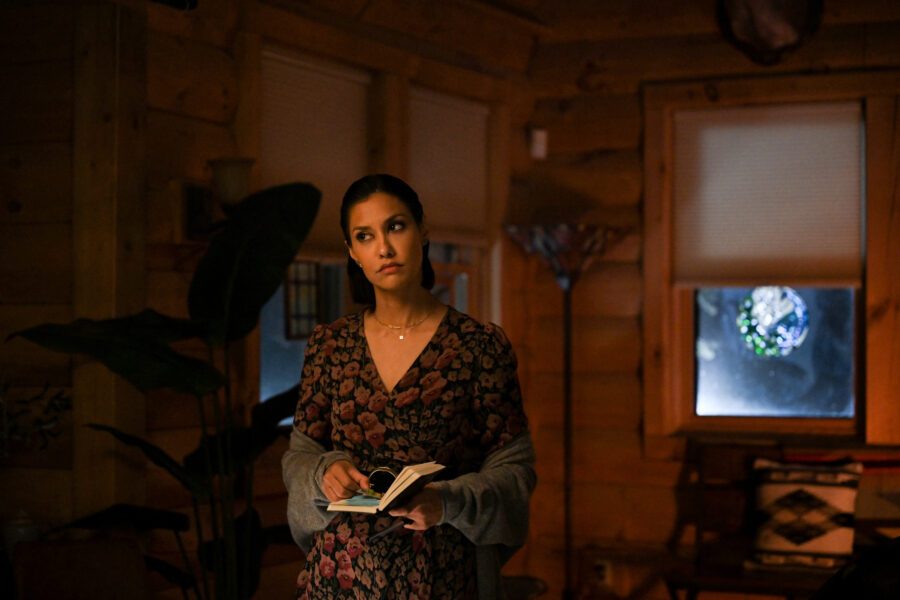 BIG SKY Season 2 Episode 16, "Keys to the Kingdom" JANINA GAVANKAR | Tell-Tale TV BIG SKY Season 2 Episode 16, "Keys to the Kingdom" JANINA GAVANKAR