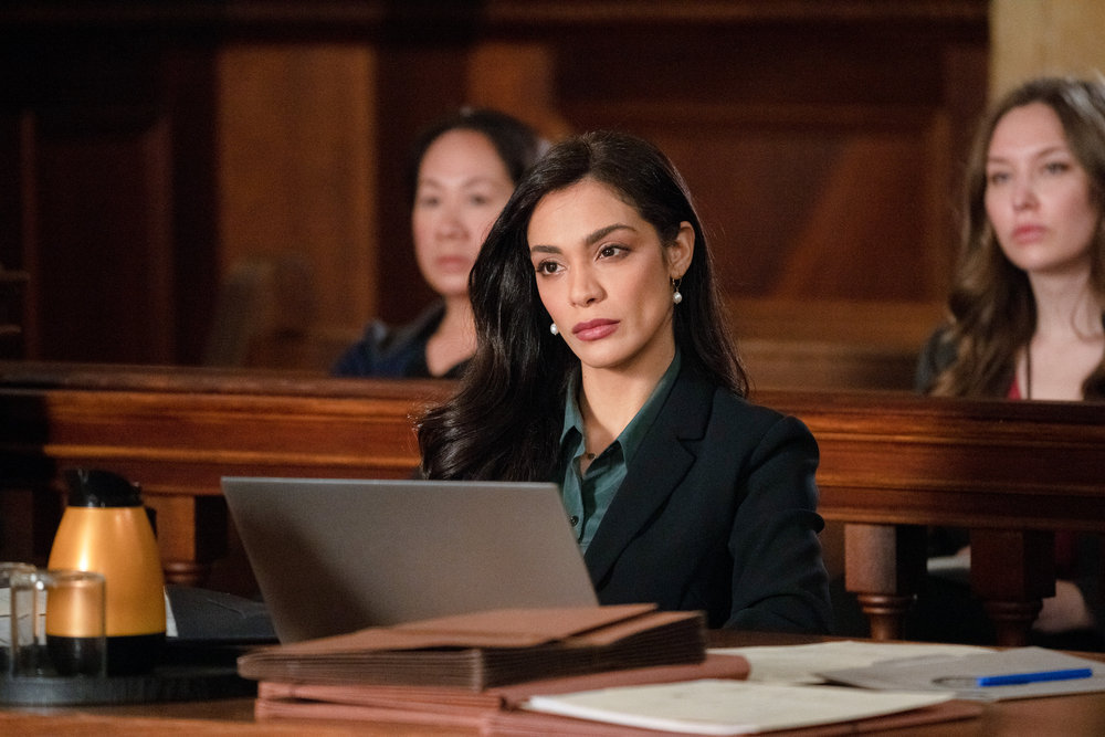 Law & Order - Season 21 Episode 8 - Severance