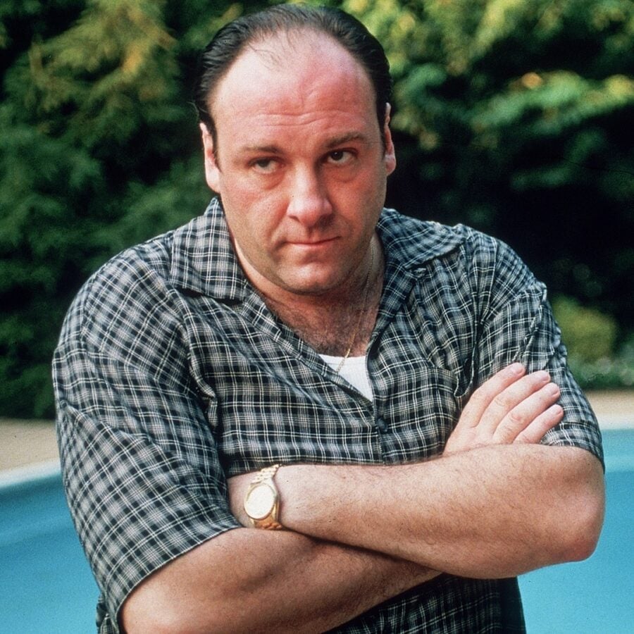 THE SOPRANOS James Gandolfini as Tony Soprano