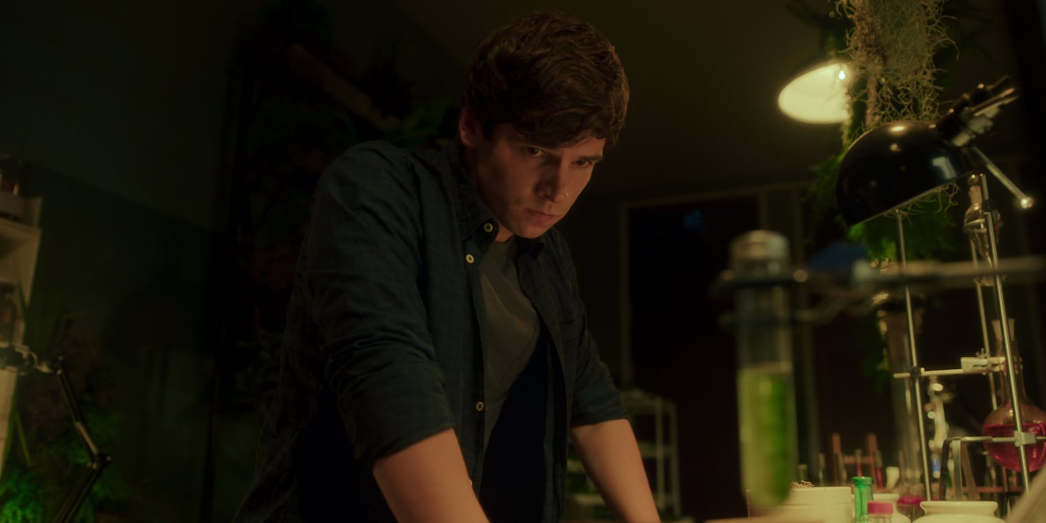 Fate The Winx Saga Season 2