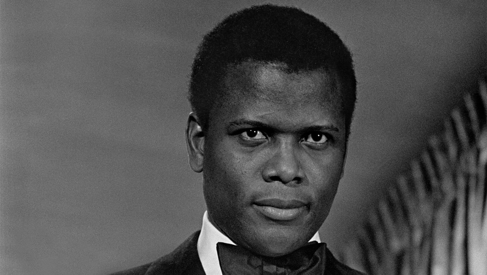 Sidney -- Sidney Poitier | Tell-Tale TV Sidney -- Sidney Poitier