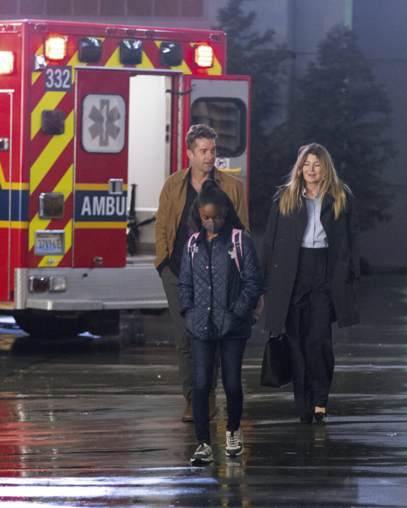 GREY'S ANATOMY Season 19 Episode 3 - Let's Talk About Sex -SCOTT SPEEDMAN, ANIELA GUMBS, ELLEN POMPEO