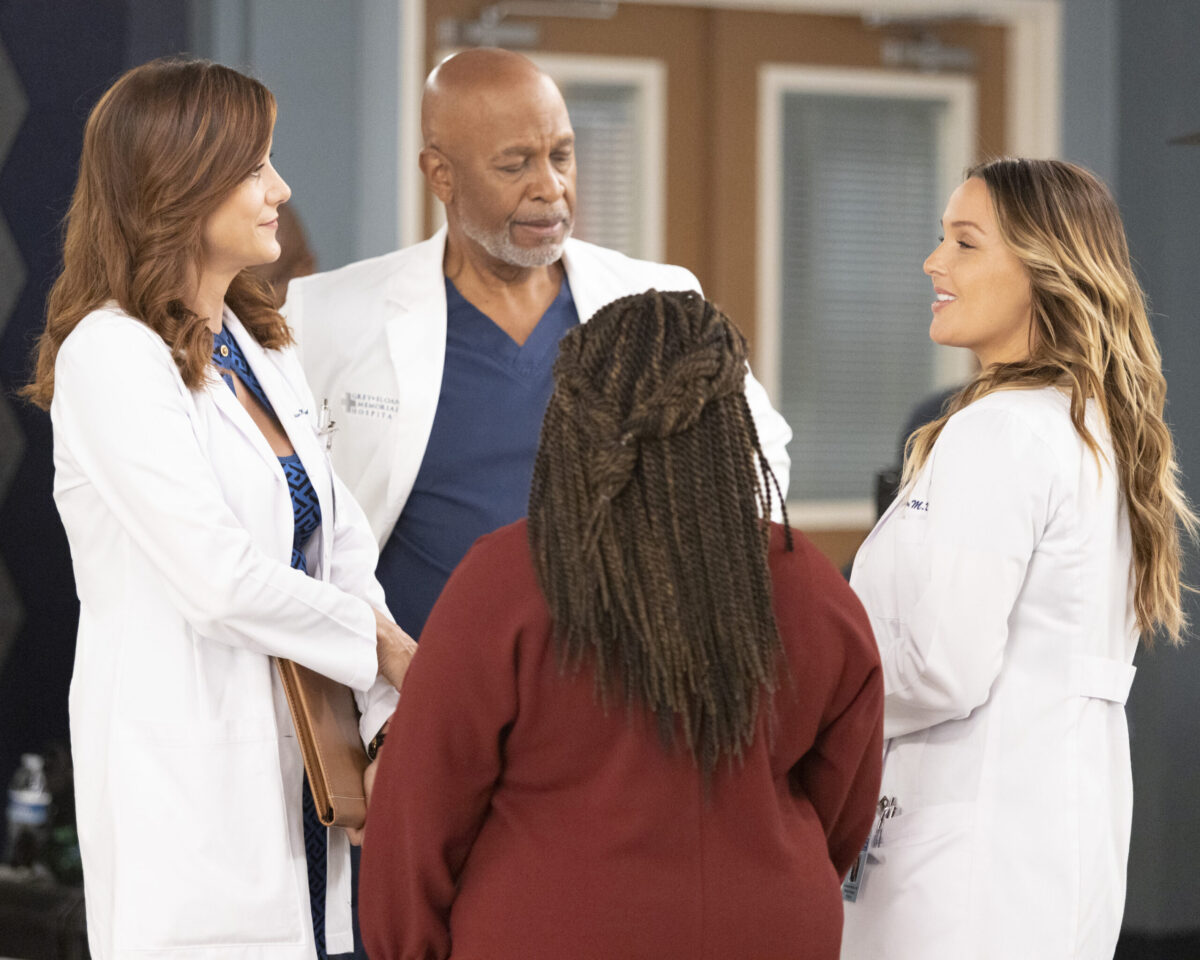 GREY'S ANATOMY Season 19 Episode 3 - Let's Talk About Sex -KATE WALSH, JAMES PICKENS JR., CAMILLA LUDDINGTON
