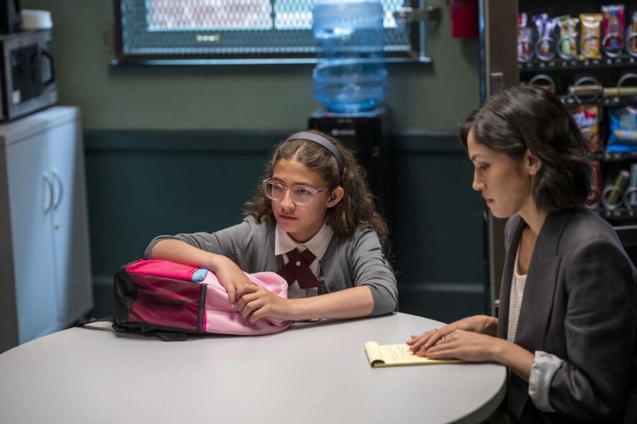 Law & Order – Season 22