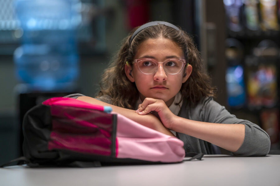 Law & Order – Season 22