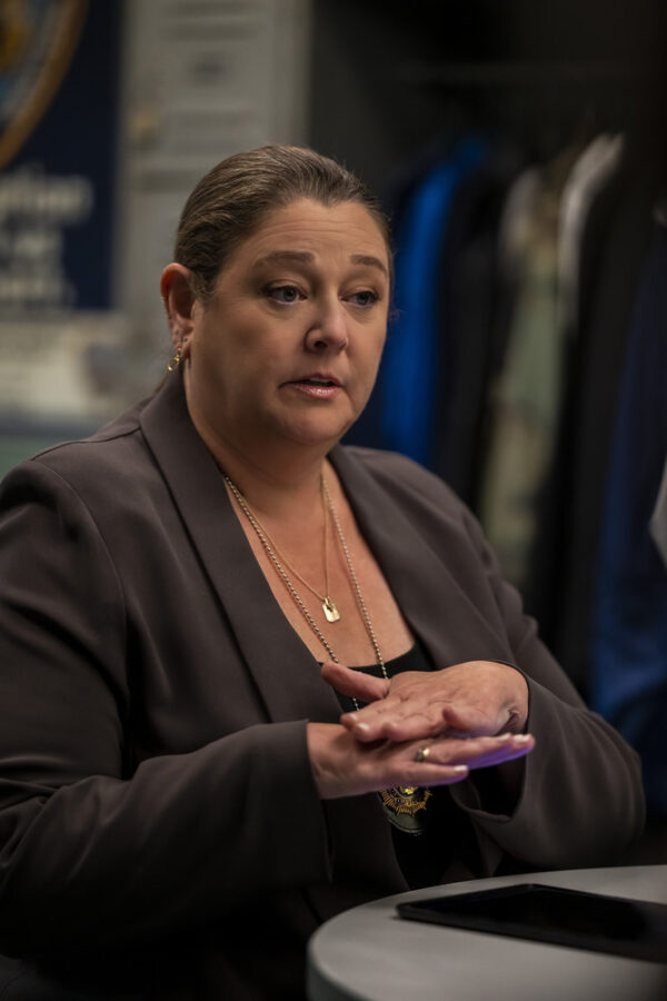 Law & Order – Season 22