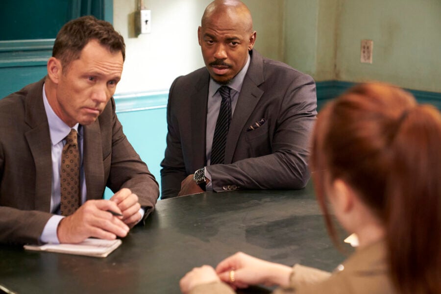 Law & Order – Season 22