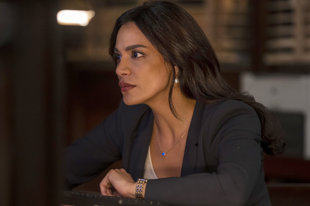 Law & Order – Season 22