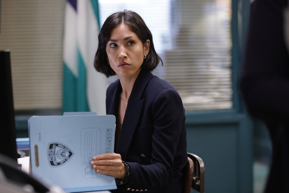 Law & Order – Season 22