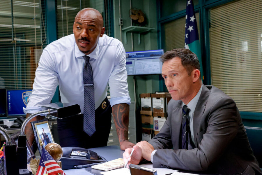 Law & Order – Season 22