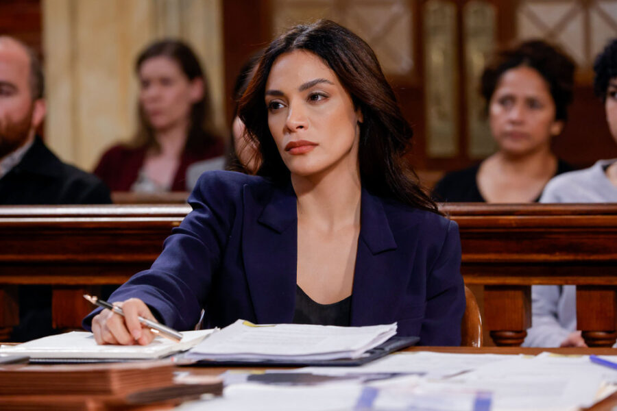 Law & Order – Season 22