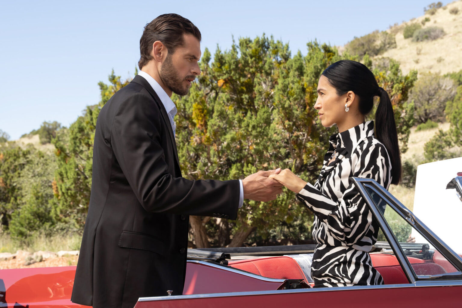 The Cleaning Lady Season 2 Episode 6 Review Oasis