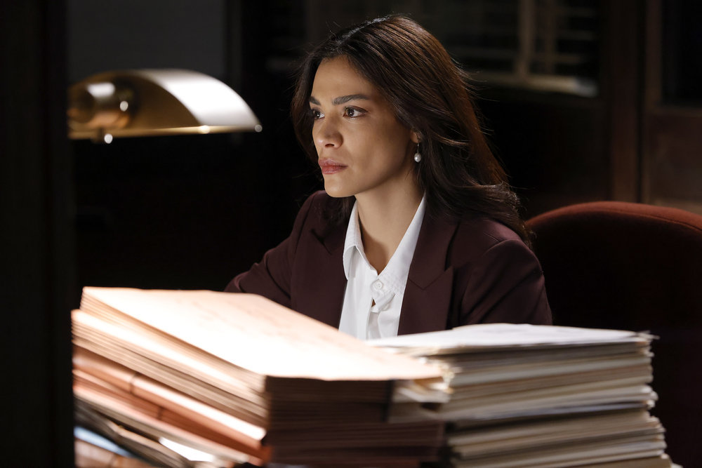 Law & Order – Season 22