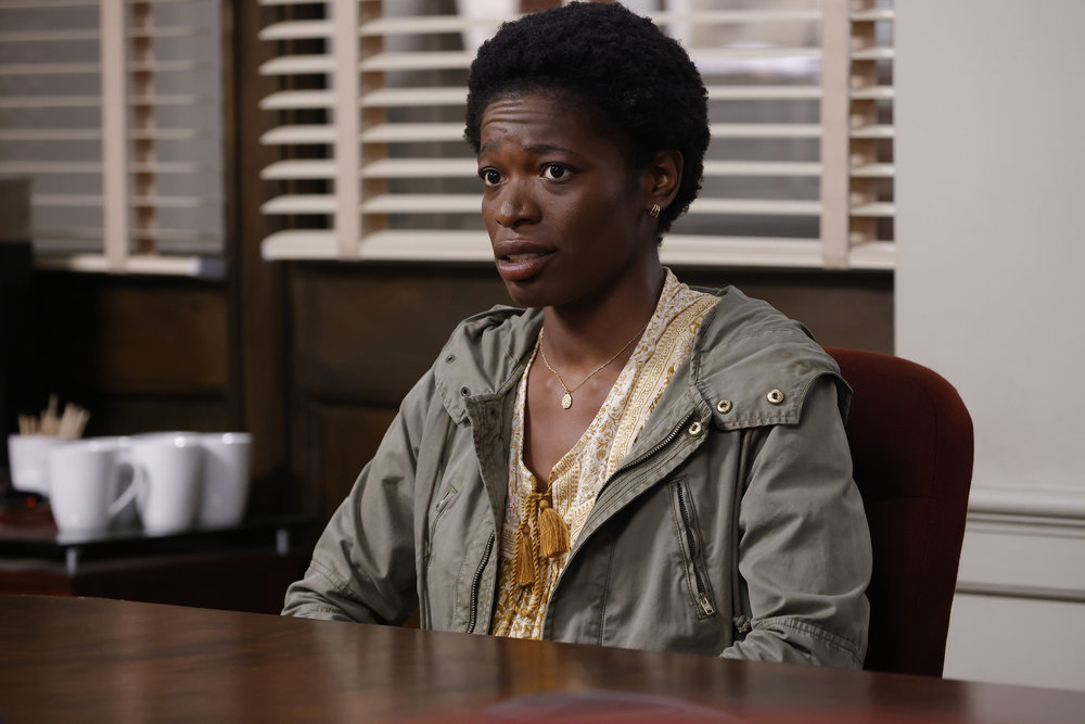 Law & Order – Season 22