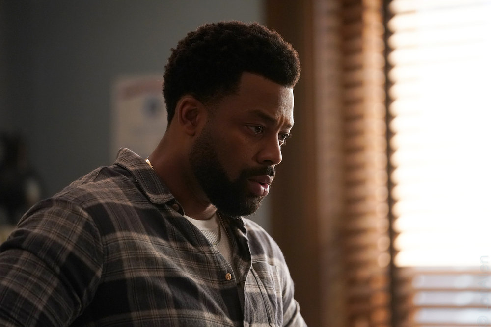 Chicago P.D. - Season 10 Episode 8 - Under the Skin