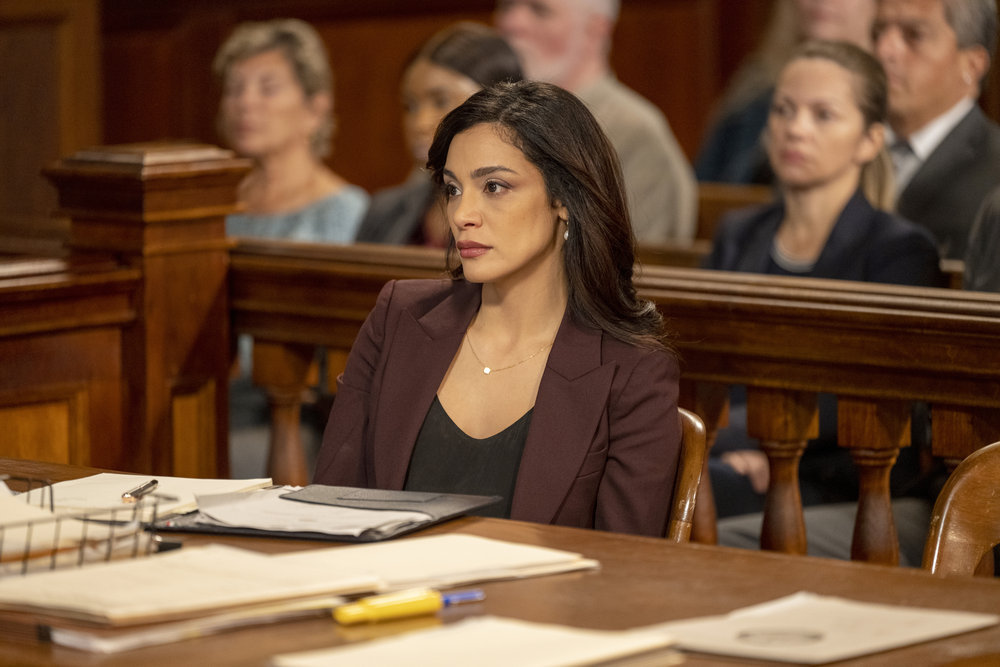Law & Order – Season 22