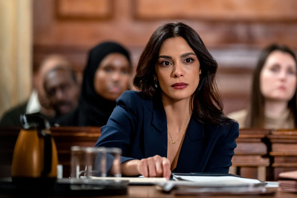 Law & Order – Season 22
