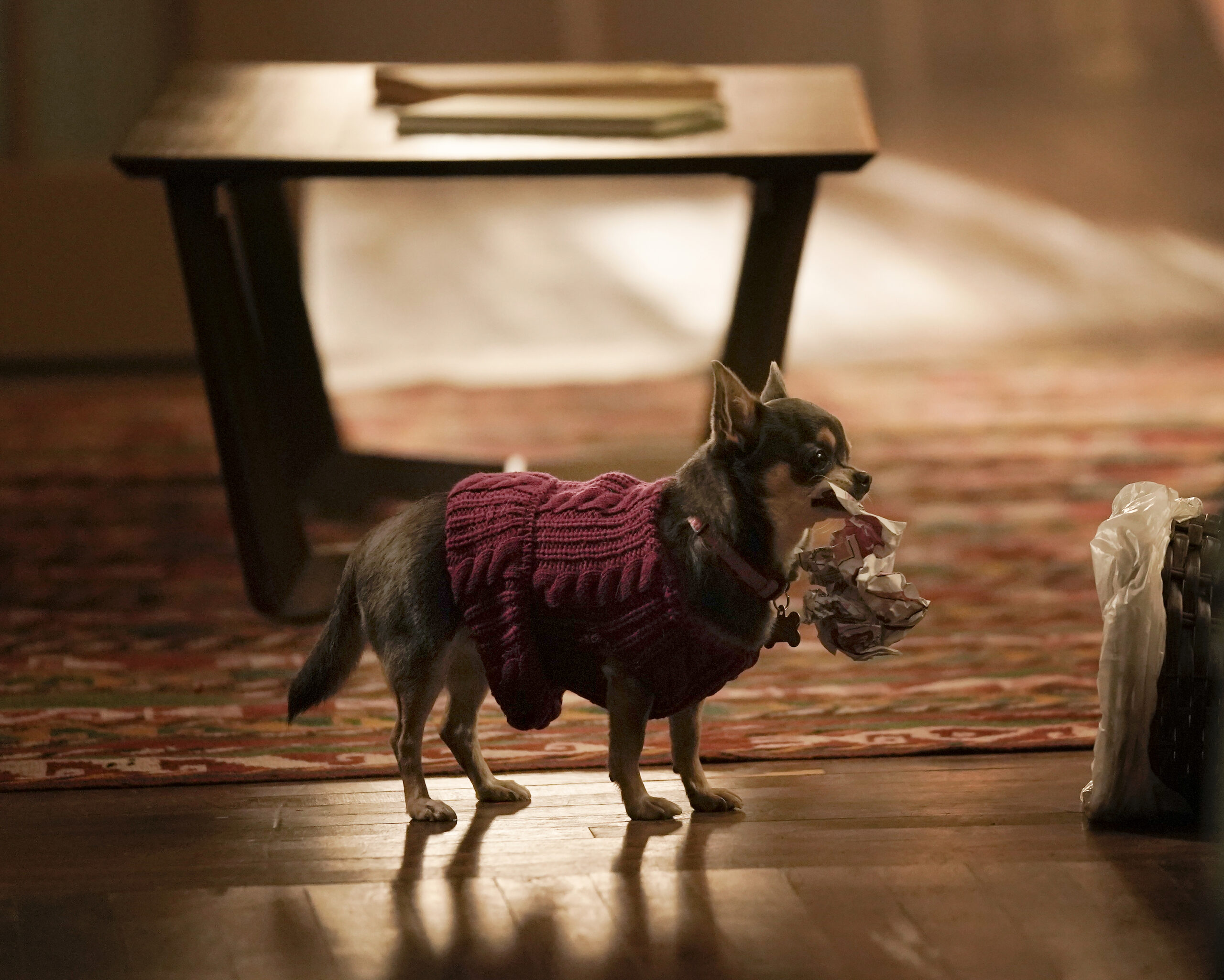 Will Trent Season 1 Episode 7-Unable to Locate