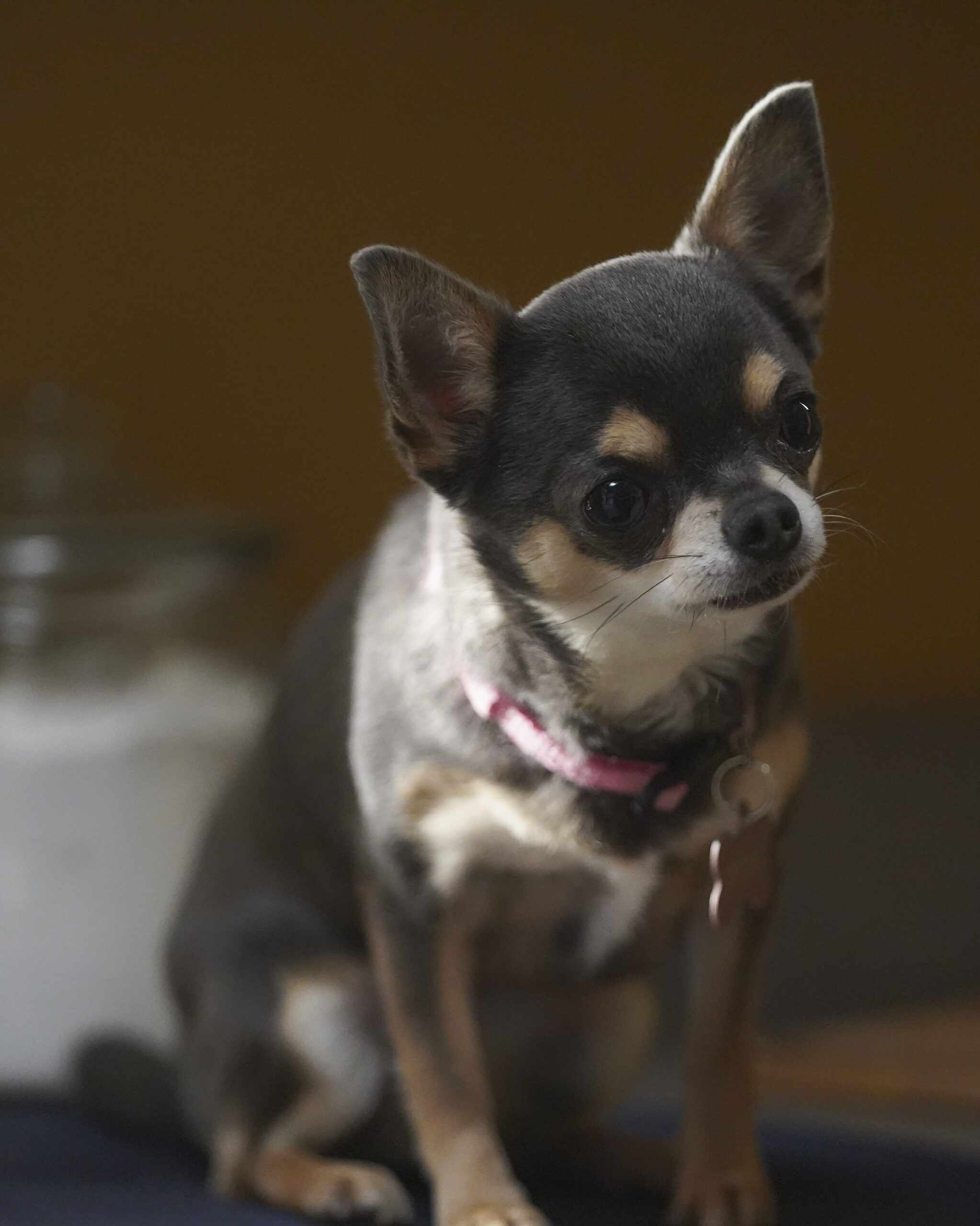 Will Trent Season 1 Episode 13-It Was The 80s