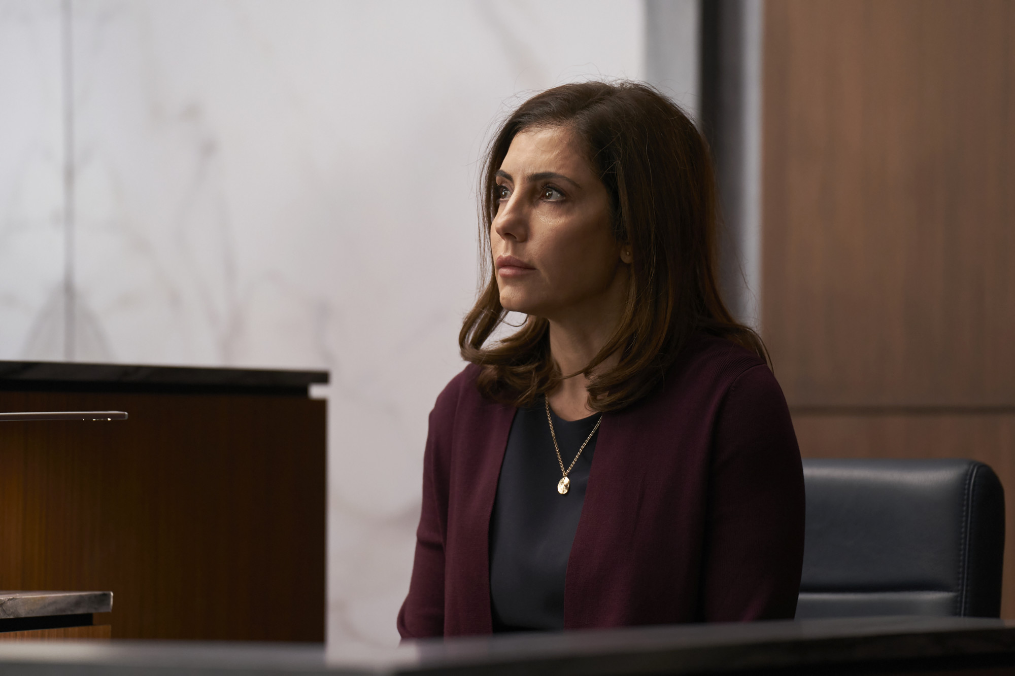 Accused Season 1 Episode 13 - Anne Bedian | Tell-Tale TV Accused Season 1 Episode 13 - Anne Bedian