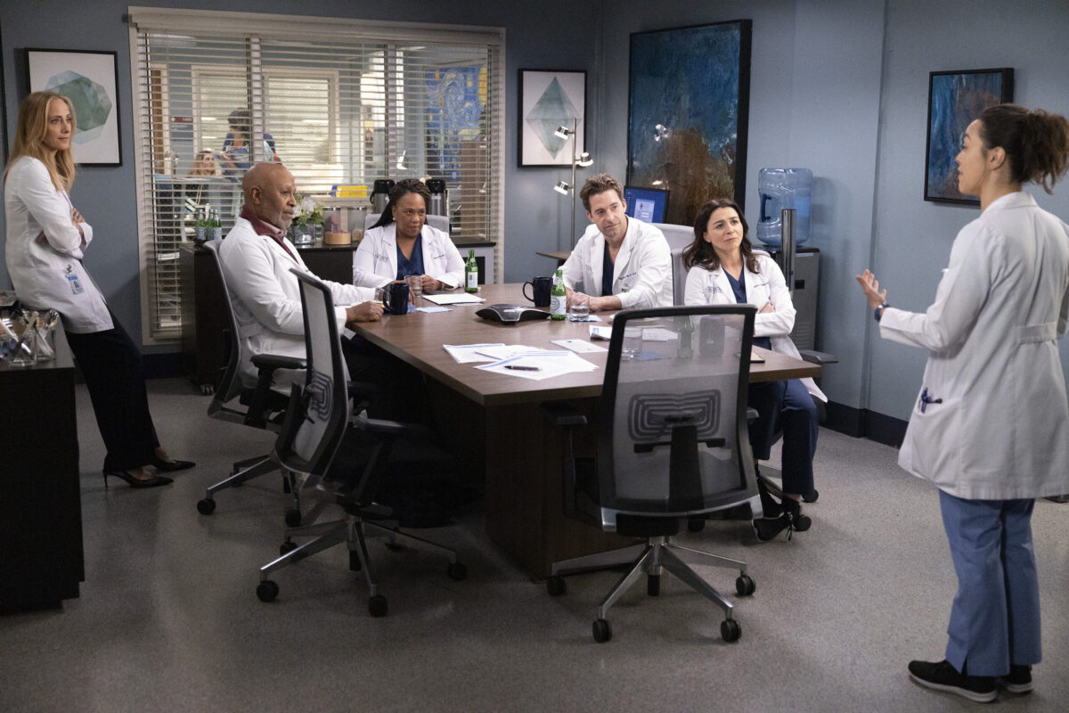 GREY'S ANATOMY Season 19 Episode 17 - Come Fly With Me KIM RAVER, JAMES PICKENS JR., CHANDRA WILSON, SCOTT SPEEDMAN, CATERINA SCORSON, MIDORI FRANCIS