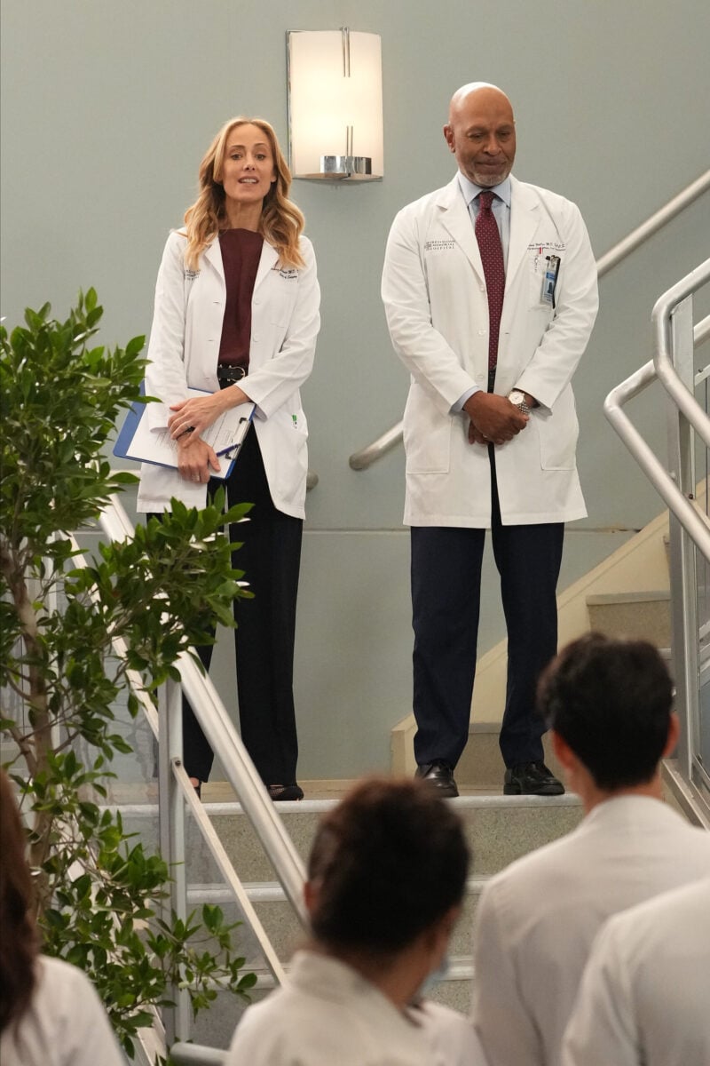 KIM RAVER as Teddy Altman, JAMES PICKENS JR. as Richard Webber