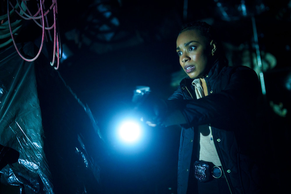 Law & Order: Special Victims Unit - Season 24 | Tell-Tale TV Law & Order: Special Victims Unit – Season 24