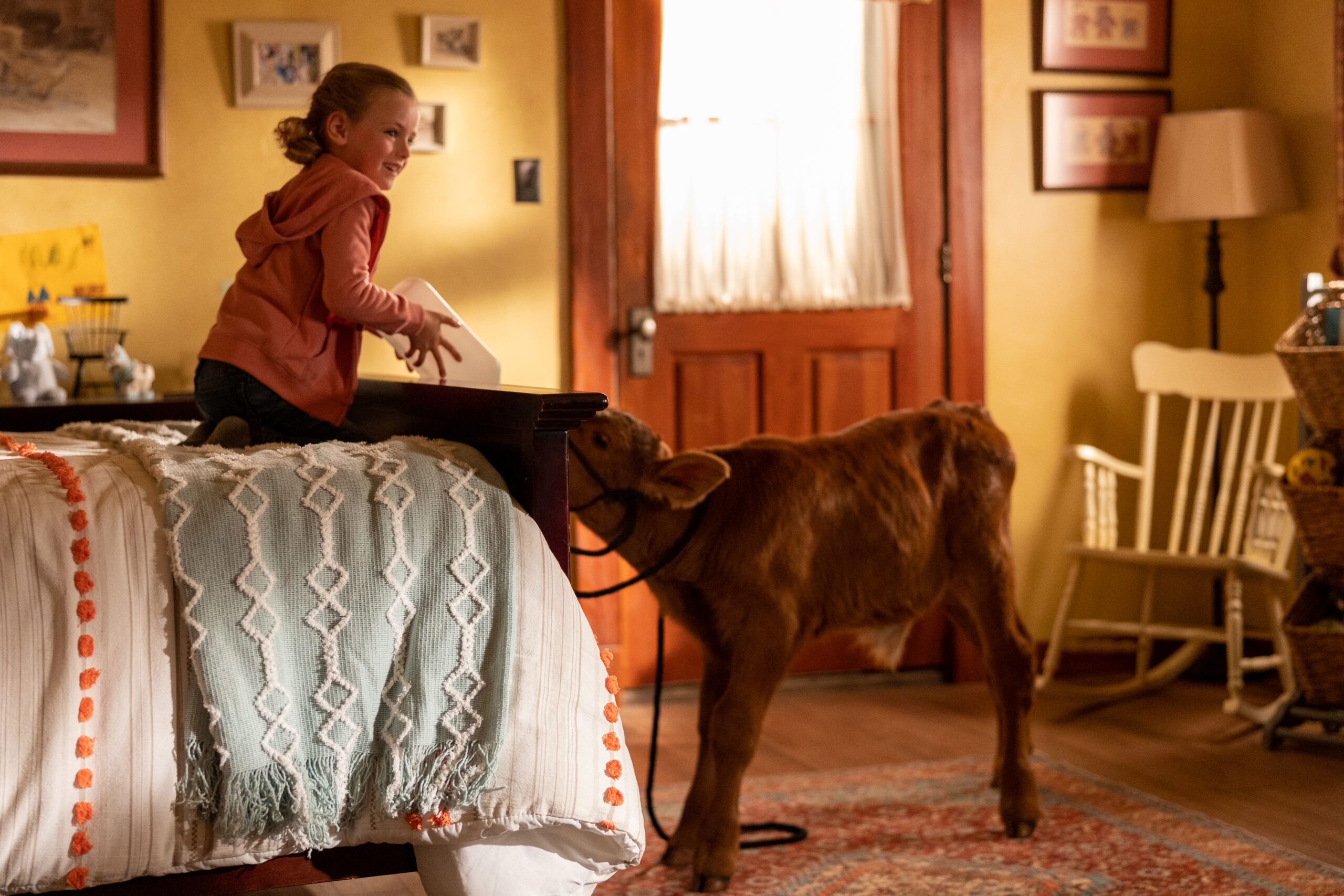 Heartland Season 16 Episode 2