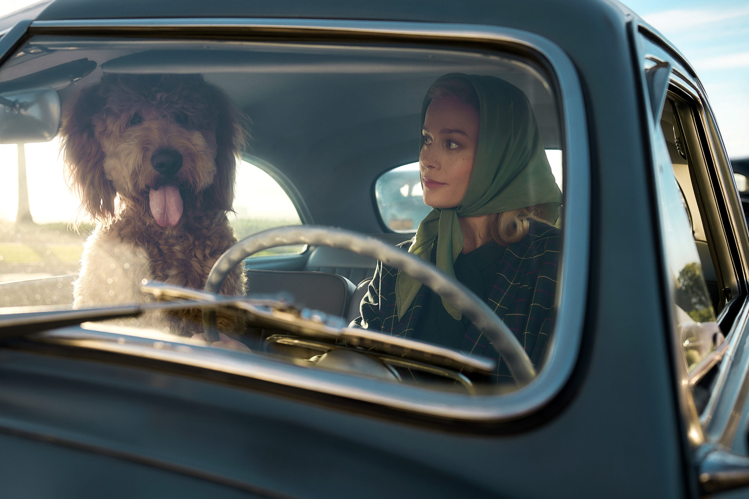 Lessons in Chemistry Episode 2 | Tell-Tale TV Lessons in Chemistry Episode 2