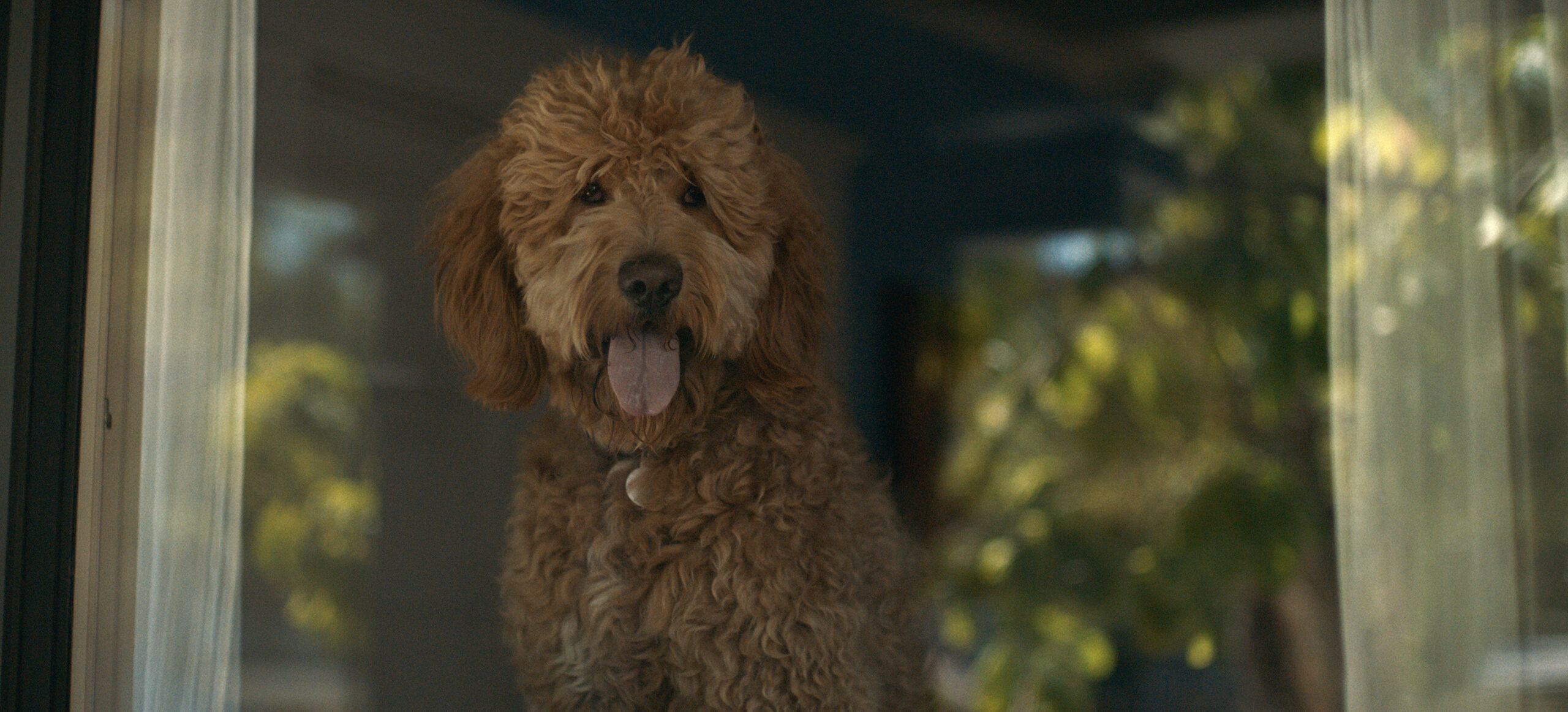 Lessons in Chemistry Season 1 Episode 3, "Living Dead Things"