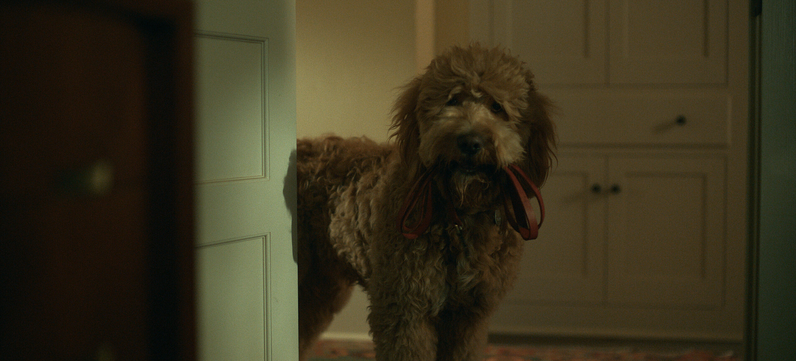 Lessons in Chemistry Season 1 Episode 3, "Living Dead Things"