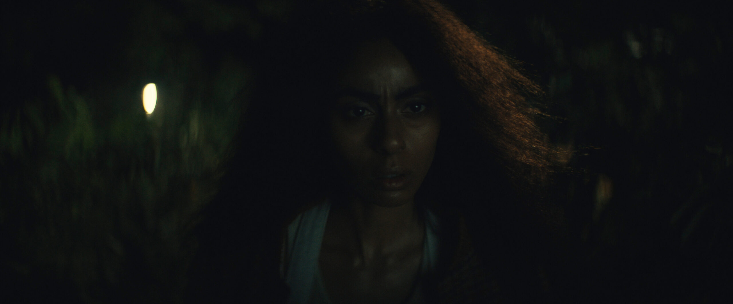 The Changeling Season 1 Episode 8 Battle of the Island