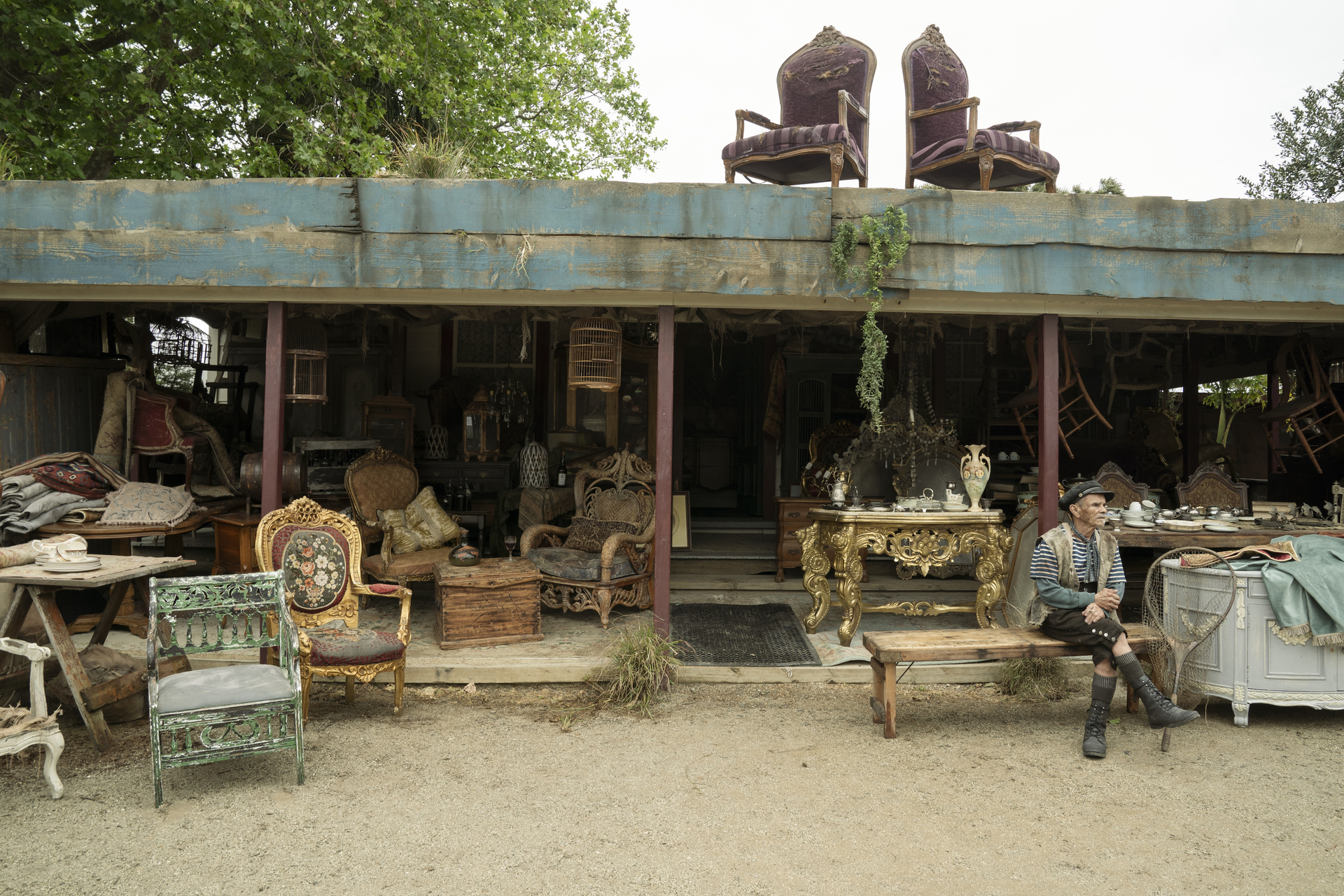 Our Flag Means Death Image by Nicola Dove | Tell-Tale TV Our Flag Means Death Image by Nicola Dove