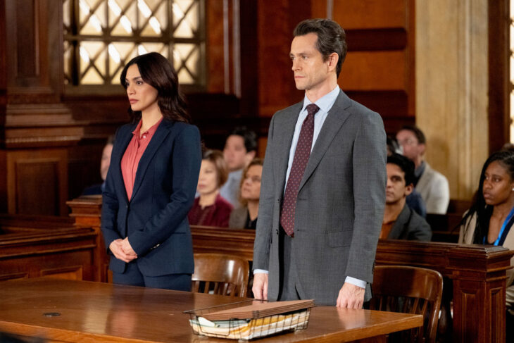 Law & Order – Season 23