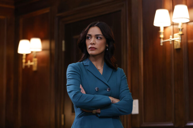 Law & Order – Season 23