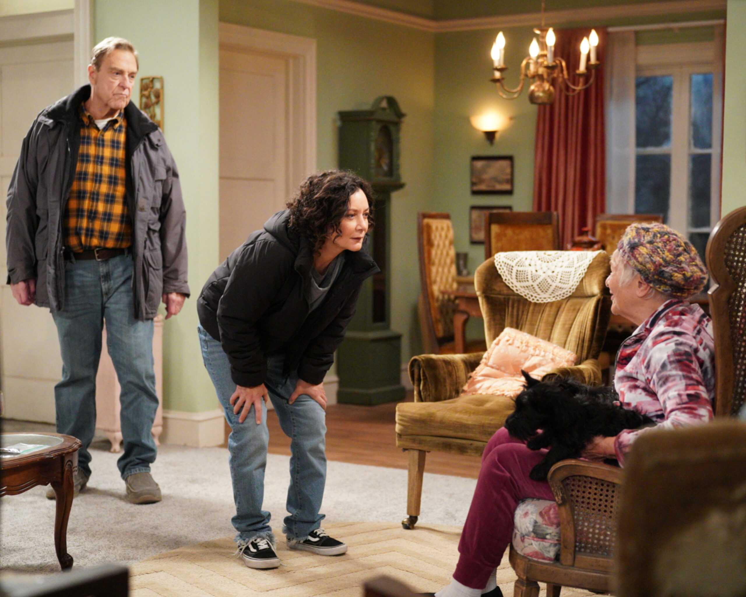 JOHN GOODMAN, SARA GILBERT