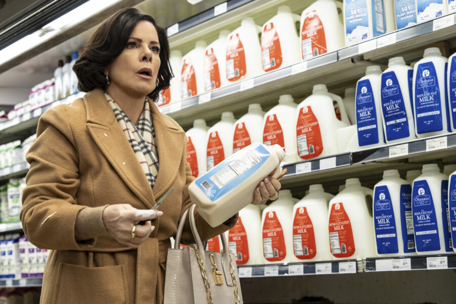 SO HELP ME TODD Season 2 Episode 3, "The Queen of Courts"