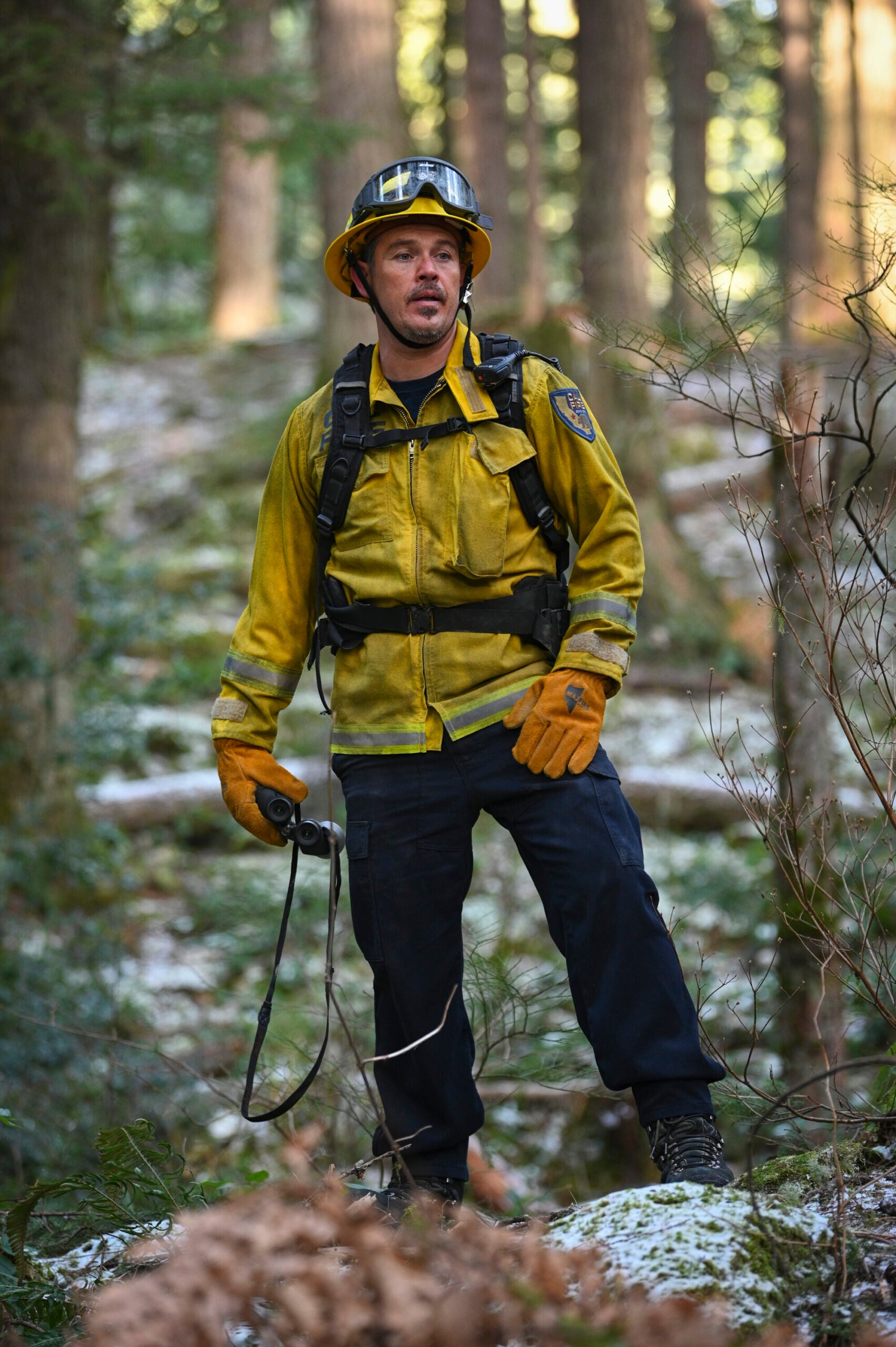 See You Next Apocalypse