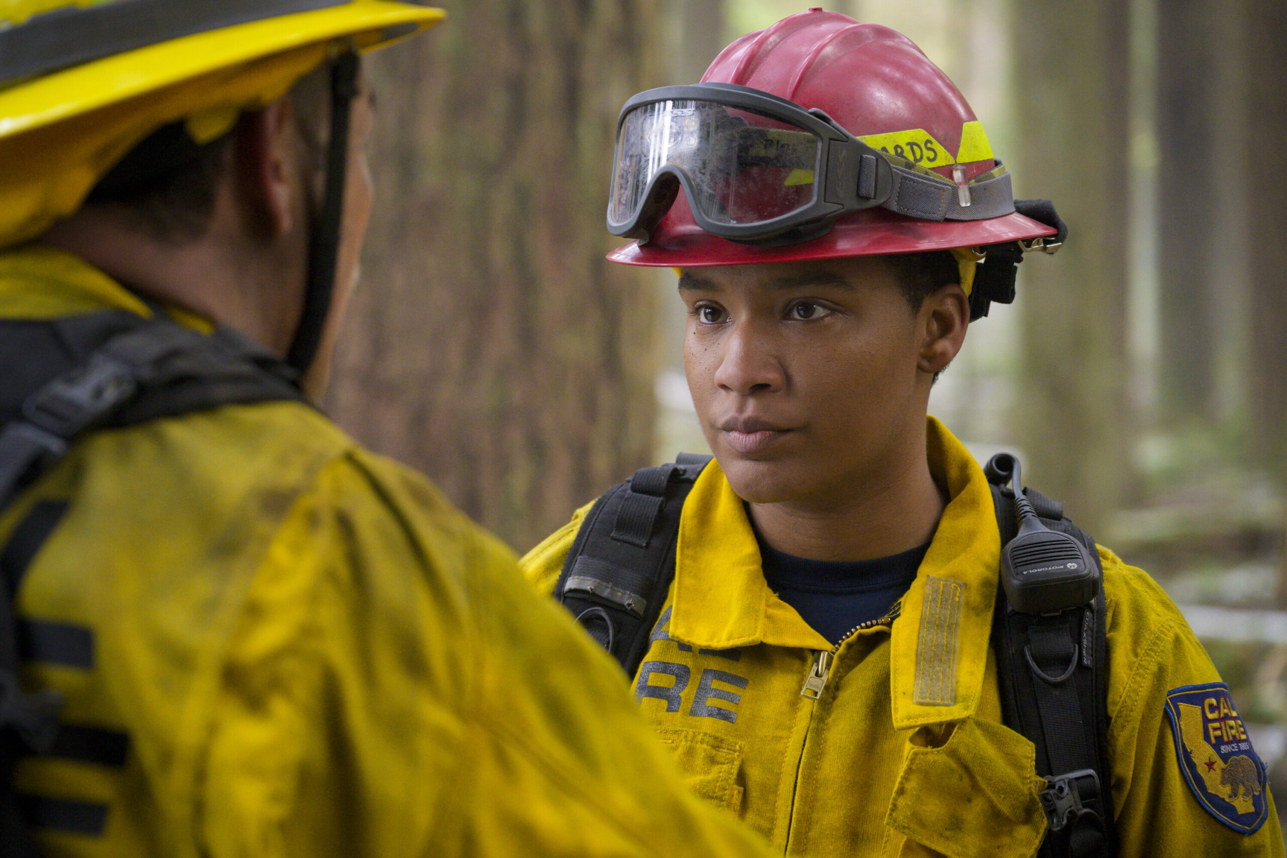 See You Next Apocalypse