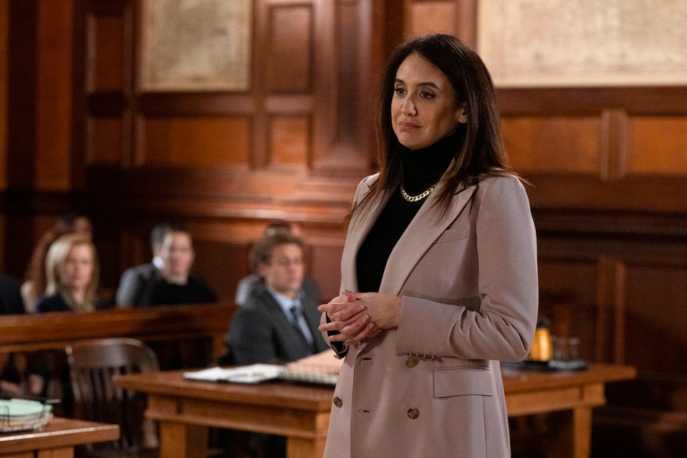 Law & Order – Season 23