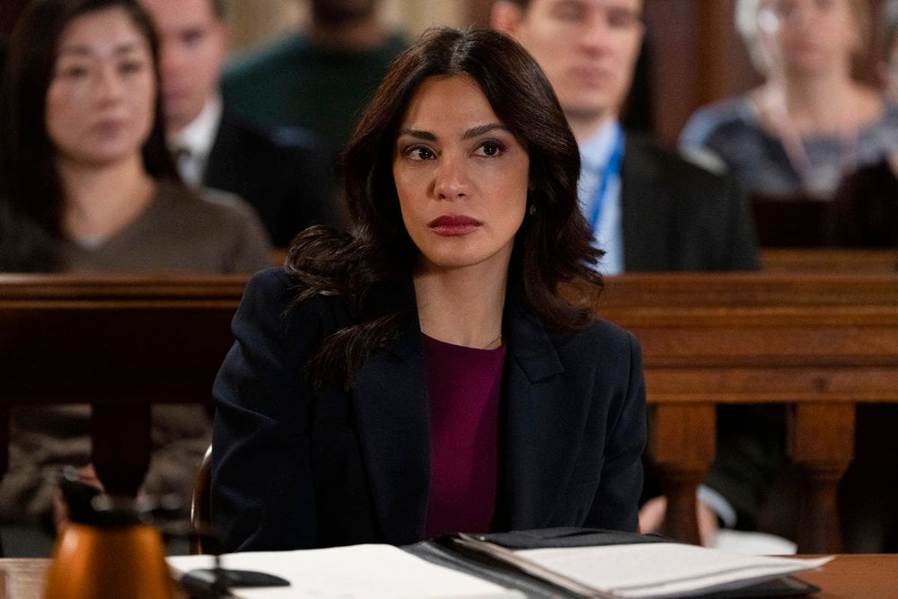 Law & Order – Season 23