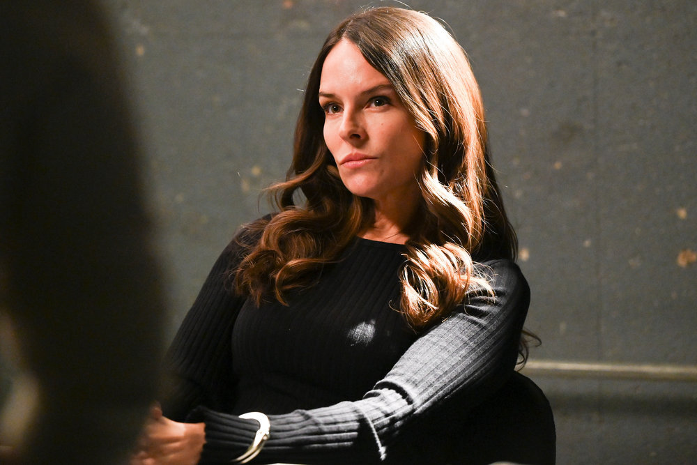 Chicago P.D. - Season 11 | Tell-Tale TV Chicago P.D. – Season 11