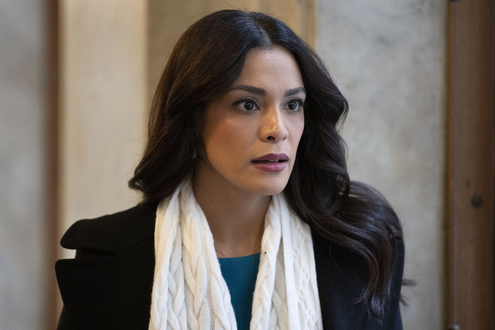 Law & Order – Season 23