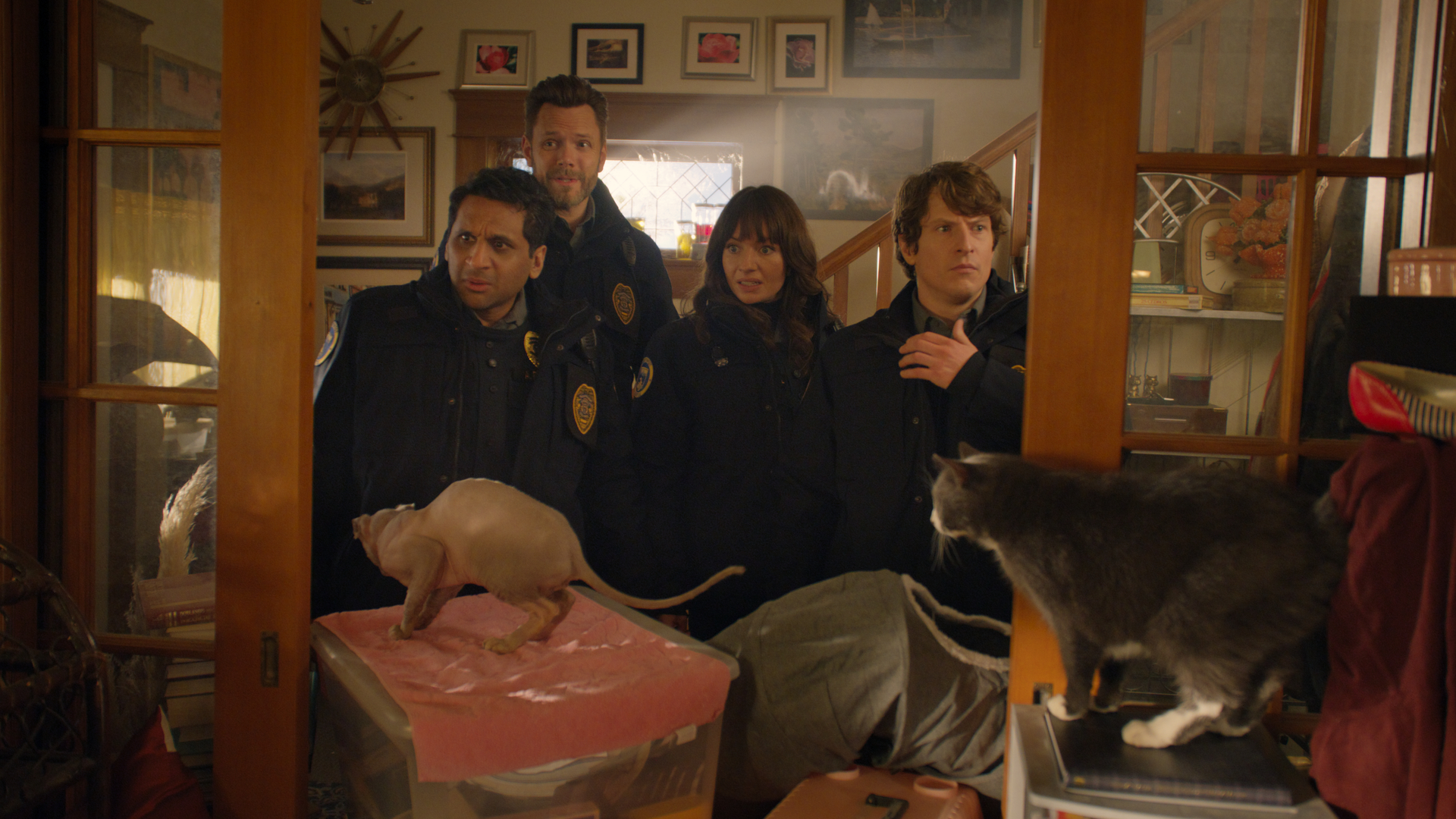 Animal Control Season 2 Episode 2, "Cats and Monkeys" | Tell-Tale TV Animal Control Season 2 Episode 2, "Cats and Monkeys"