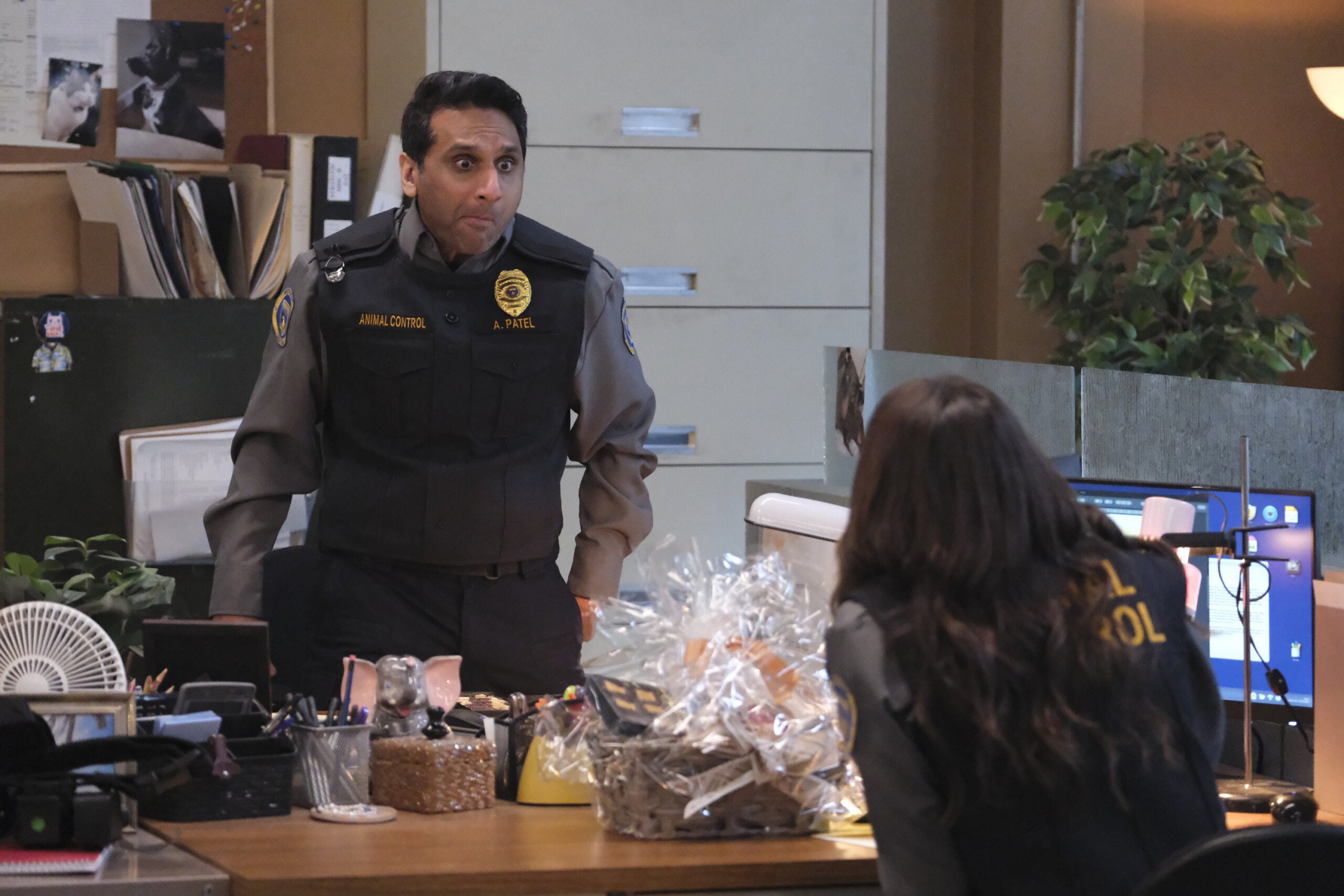 Animal Control Season 2 Episode 3, "Tortoises and Labradors"