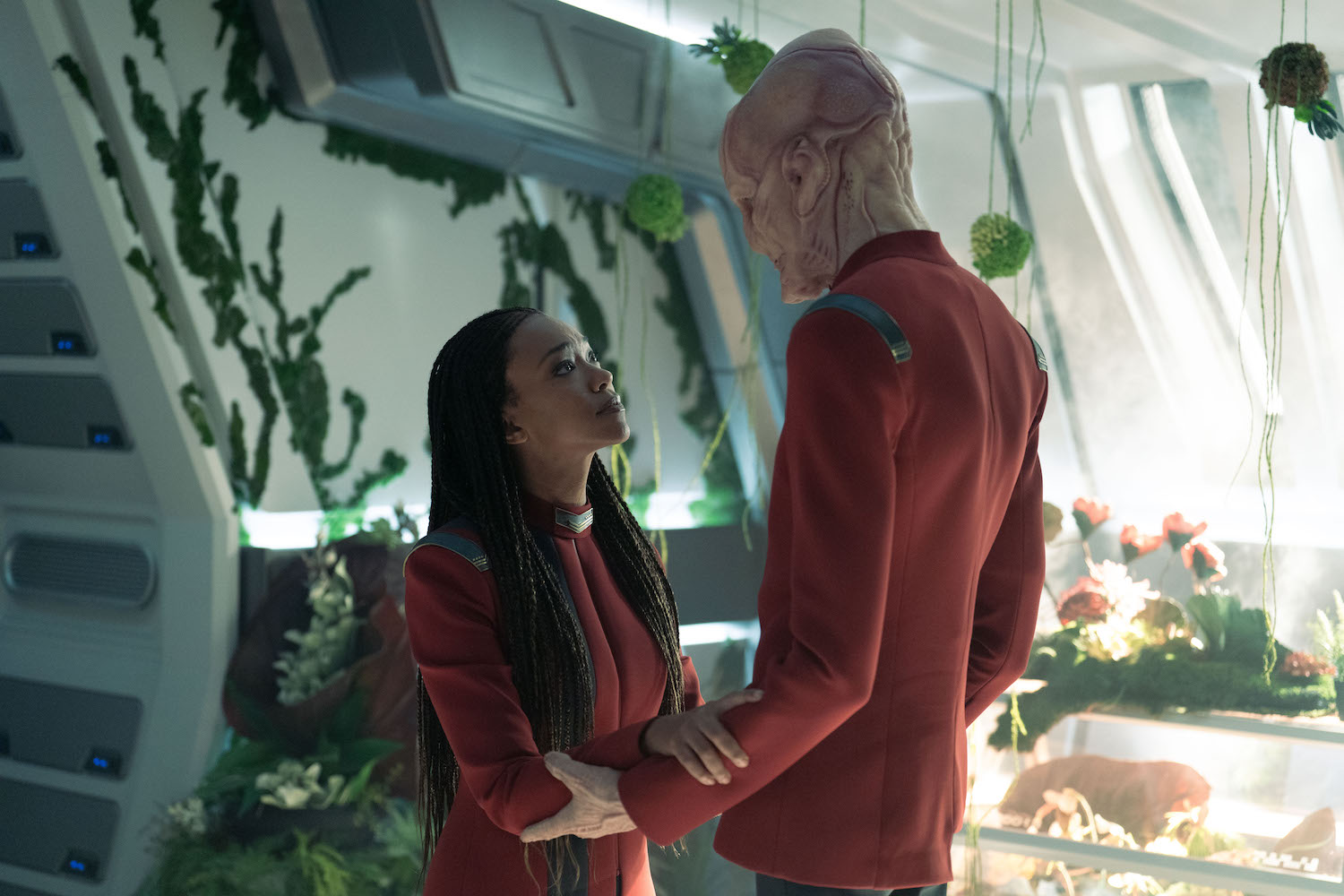 Star Trek: Discovery Season 5 | Tell-Tale TV Star Trek: Discovery Season 5