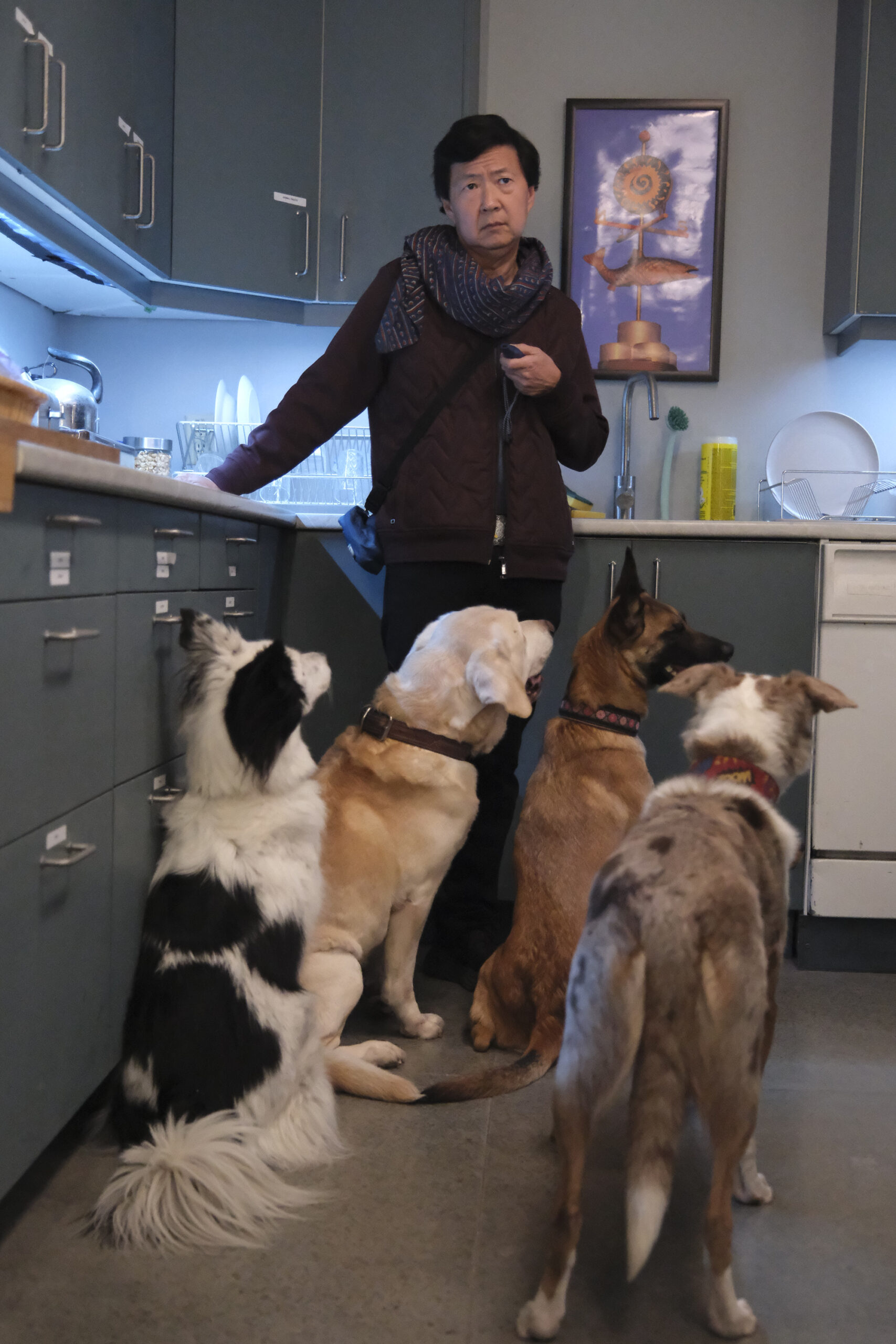 Animal Control Season 2 Episode 5, "Dogs and Chickens" -- KEN JEONG